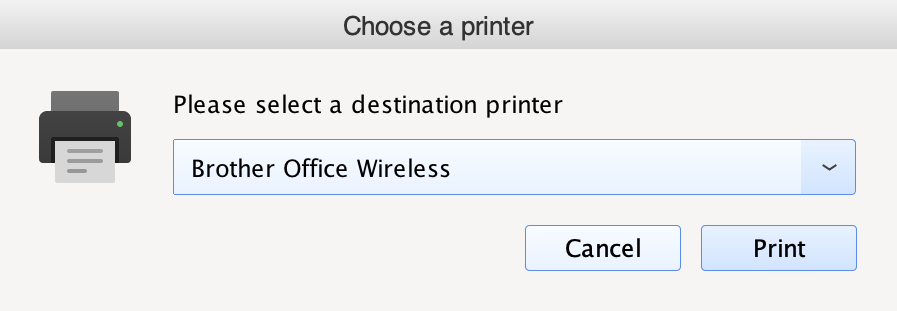 Printer Selection Screenshot